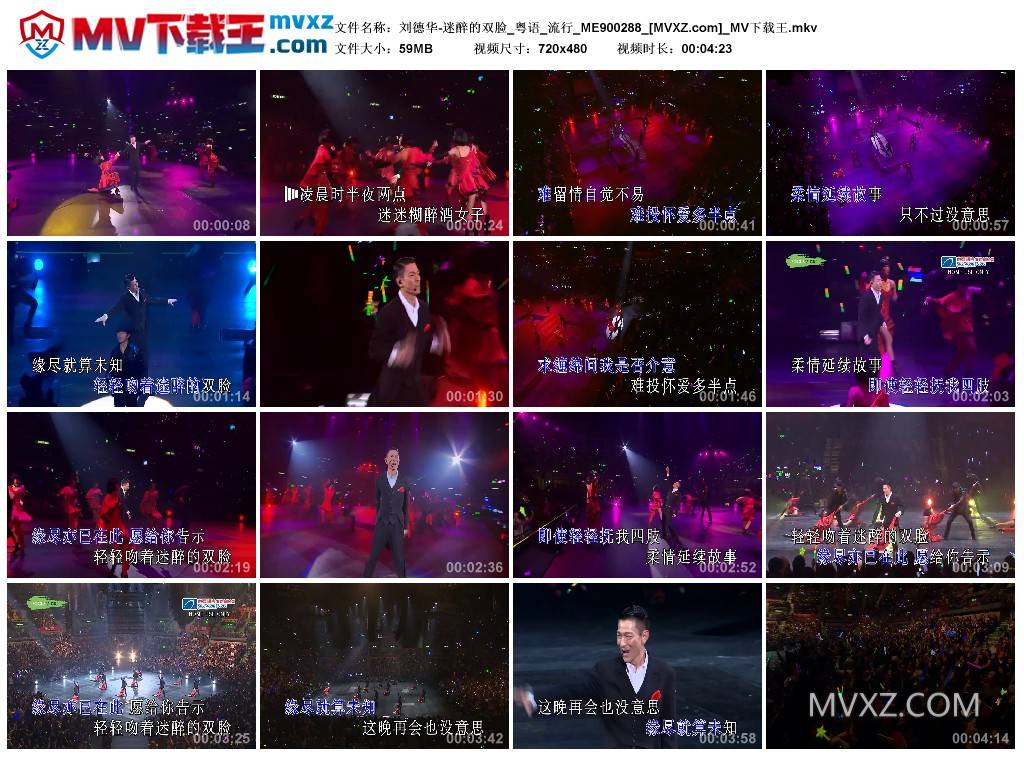 刘德华-迷醉的双脸_粤语_流行_ME900288